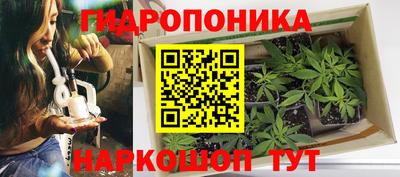 шишки Малоярославец